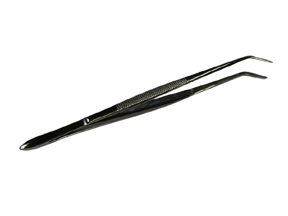penstera