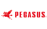 Pegasus