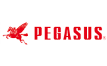 Pegasus